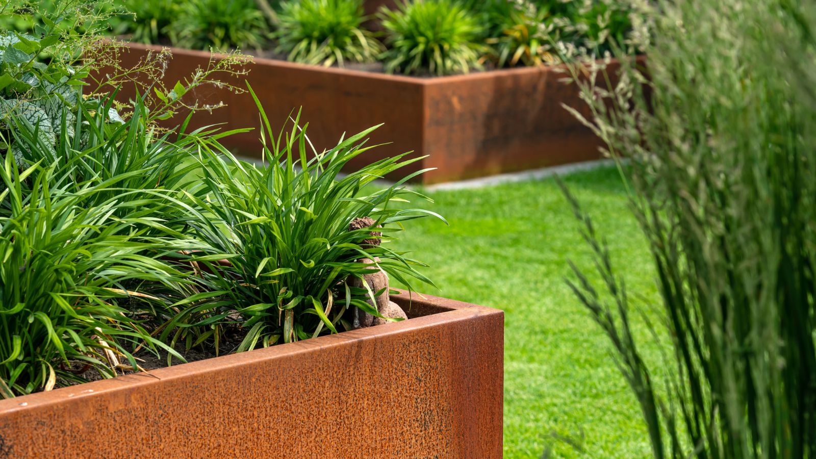 Cortenline - banner do email šablony (Příspěvek na Twitteru) (kopie)